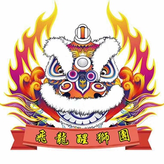 深圳市龍飛醒獅文化傳播有限公司